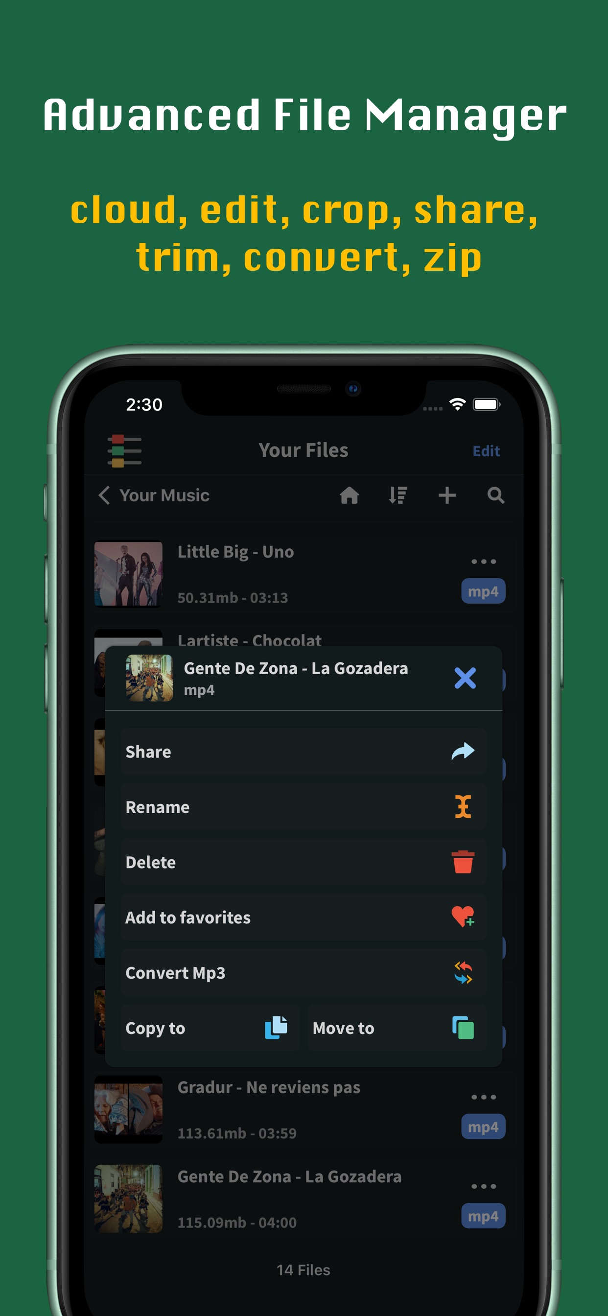 Video Player